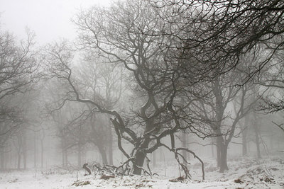 BUITEN BEELD Foto: 113196