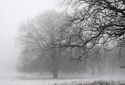 BUITEN BEELD Foto: 113203