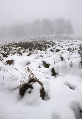 BUITEN BEELD Foto: 113204