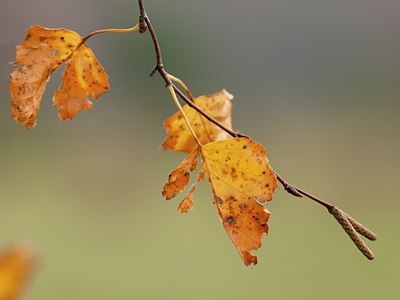 BUITEN BEELD Foto: 113213