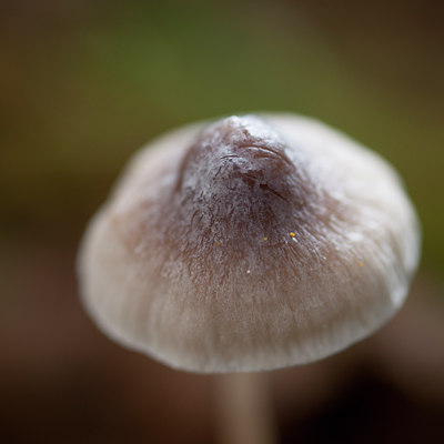 BUITEN BEELD Foto: 113220