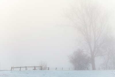BUITEN BEELD Foto: 113237