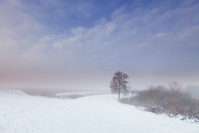 BUITEN BEELD Foto: 113251