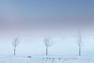 BUITEN BEELD Foto: 113253