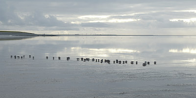 BUITEN BEELD Foto: 113366