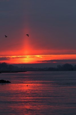 BUITEN BEELD Foto: 113376