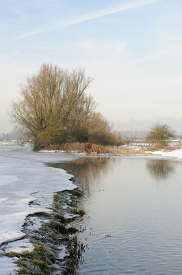 BUITEN BEELD Foto: 113408
