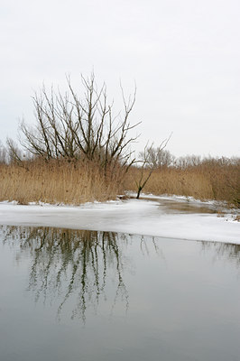 BUITEN BEELD Foto: 113411
