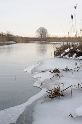 BUITEN BEELD Foto: 113415