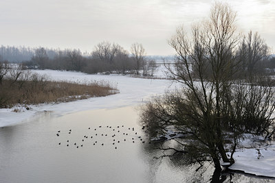 BUITEN BEELD Foto: 113417