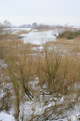 BUITEN BEELD Foto: 113420
