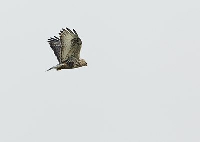 BUITEN BEELD Foto: 113498