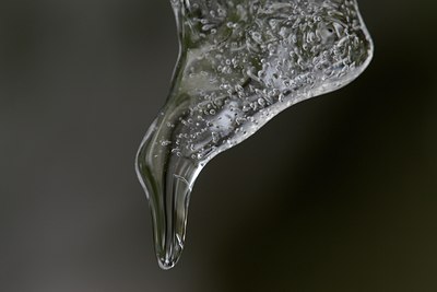 BUITEN BEELD Foto: 113632