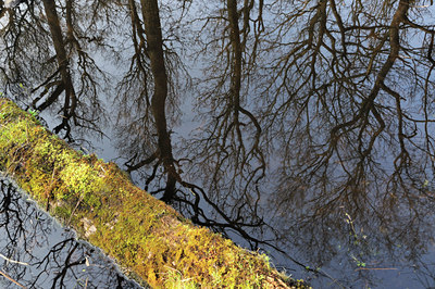 BUITEN BEELD Foto: 113734