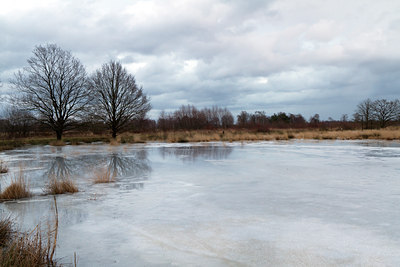 BUITEN BEELD Foto: 113808