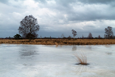 BUITEN BEELD Foto: 113809