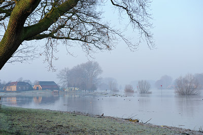 BUITEN BEELD Foto: 113826