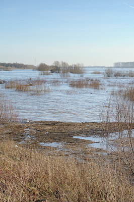 BUITEN BEELD Foto: 113832