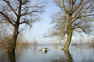 BUITEN BEELD Foto: 113845