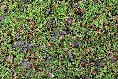 BUITEN BEELD Foto: 113863