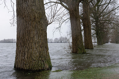 BUITEN BEELD Foto: 113868