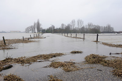 BUITEN BEELD Foto: 113892