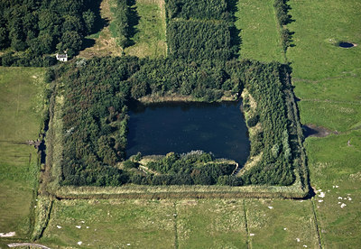 BUITEN BEELD Foto: 113920
