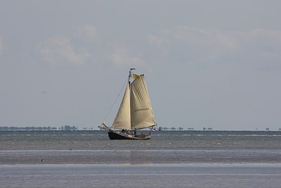 BUITEN BEELD Foto: 113946