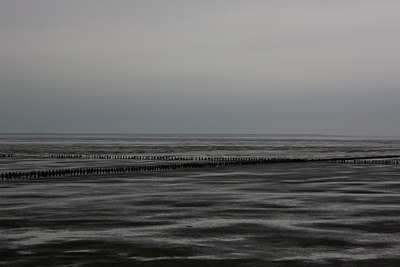 BUITEN BEELD Foto: 113961