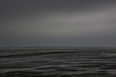 BUITEN BEELD Foto: 113970