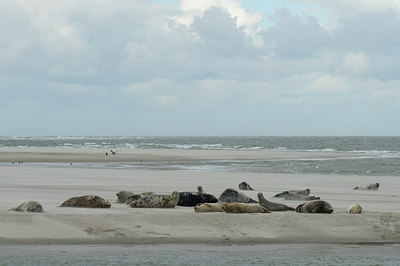 BUITEN BEELD Foto: 114029