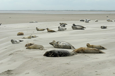 BUITEN BEELD Foto: 114030