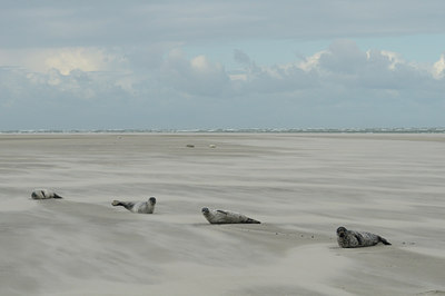 BUITEN BEELD Foto: 114031