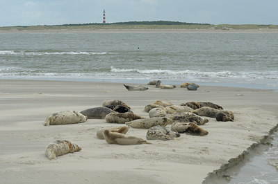 BUITEN BEELD Foto: 114032