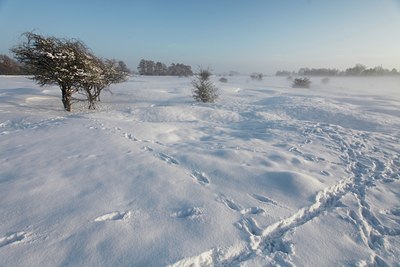 BUITEN BEELD Foto: 114054