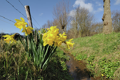 BUITEN BEELD Foto: 114057