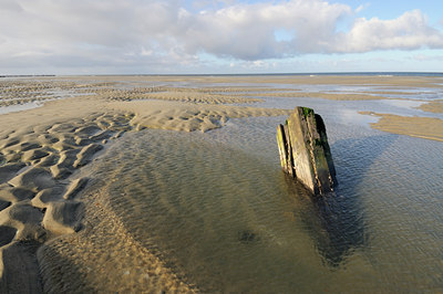 BUITEN BEELD Foto: 114067
