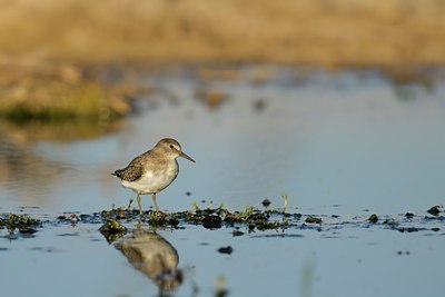 BUITEN BEELD Foto: 114074