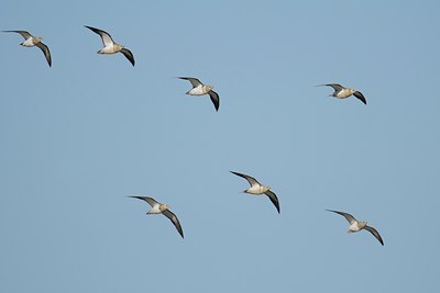 BUITEN BEELD Foto: 114095