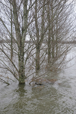 BUITEN BEELD Foto: 114098