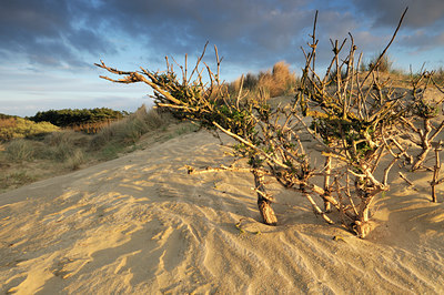 BUITEN BEELD Foto: 114153
