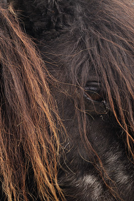 BUITEN BEELD Foto: 114186