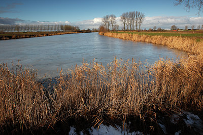 BUITEN BEELD Foto: 114278