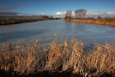 BUITEN BEELD Foto: 114304