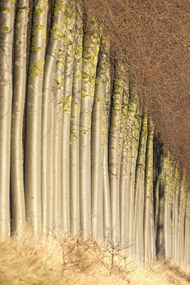 BUITEN BEELD Foto: 114306