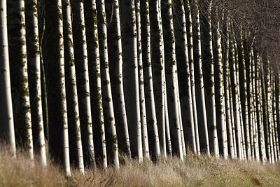 BUITEN BEELD Foto: 114308