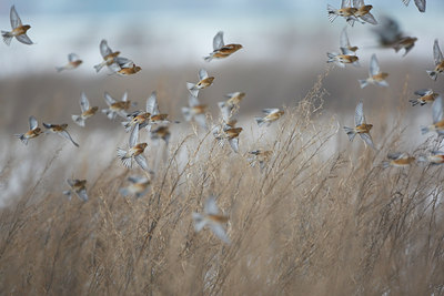 BUITEN BEELD Foto: 114314