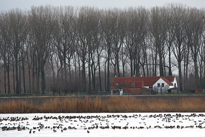 BUITEN BEELD Foto: 114315