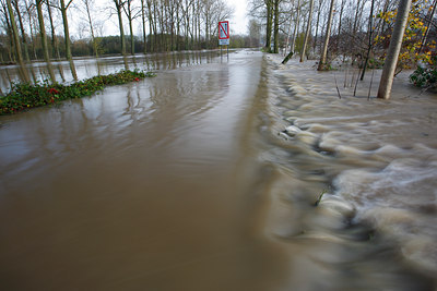 BUITEN BEELD Foto: 114317