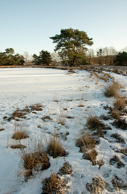 BUITEN BEELD Foto: 114353
